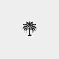 Tree is drawn in black and white on a white background. The tree is a palm tree vector