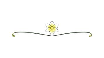 Elegant Floral Ornament Elements Design for Headers and Decorations vector