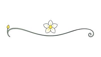 Floral Ornament Elements Minimal and Intricate Designs vector
