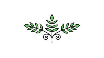 Floral Ornament Elements Illustration for Minimal and Intricate Designs vector