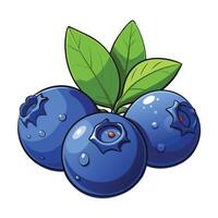 Pair of realistic 3D blueberries vector