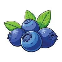 Blueberry fruit illustration in one line sketch style flat hand drawn sketch vector