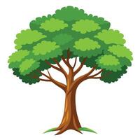 Isolated tree on white background vector