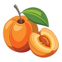 A full of peach and half of peach vector