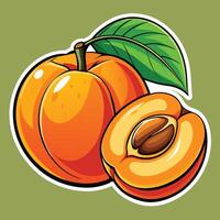 Peach with a leaf vector
