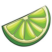 Isolated lime sliced on white background vector