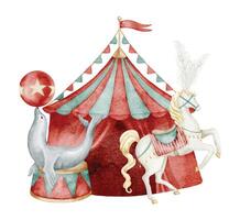 Circus watercolor illustration with seal balancing a ball, horse on a pedestal and striped tent. Drawing of big top with Festival animals for Carnival Performance. Art for Baby design or kids carts. vector