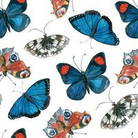 Butterflies of bright colors, peacock butterfly, nymphalidae, Morpho all objects are hand-drawn with watercolor. Seamless watercolor pattern. Suitable for printing on fabric, paper vector