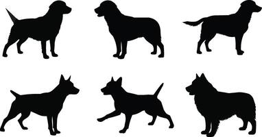Set of Farm Goat Silhouettes for Design Projects vector