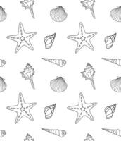 Seamless pattern of shells and sea star vector