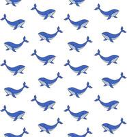 Seamless pattern of doodle sketch whale isolated on white background vector