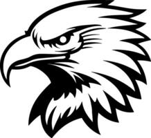 Bald eagle illusrtation vector
