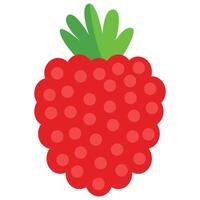 Illustration of a Raspberry Fruit vector