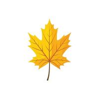 Autumn Maple Leaf with Realistic Gradient Design vector