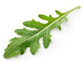 Fresh rugula isolated on white background. collection rugula leaf. Clipping path rugula. Rugula macro studio photo