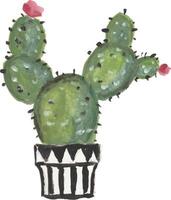 a drawing of a cactus in a pot watercolor vector