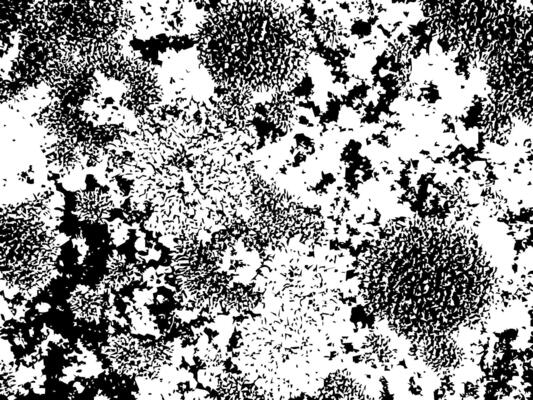 Damaged and weathered surface with grainy details