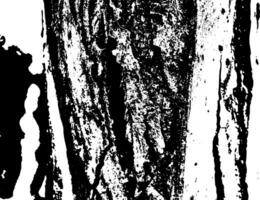 Detailed grunge pattern with weathered characteristics vector