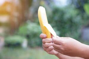 Hands are peeling banana to eat. Concept, nourishment and relieve hunger by eating banana, Benefit to health with food nutrition value. Healthy lifestyle. Enjoy eating fruits. photo