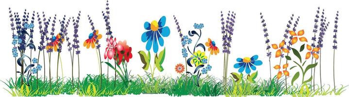 A colorful garden with flowers and grass vector