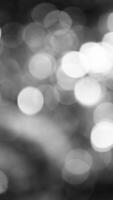 bw bokeh background video