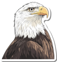 Majestic Bald Eagle Portrait In Profile View png