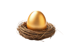 Golden egg nestled in a rustic straw nest png