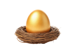 Nest with a shiny golden egg inside twigs png