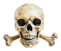 Decorative skull with crossbones on display png