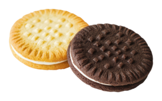 Cookies placed side by side on a plain surface png