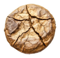 Cracked round bread with a rustic appearance png