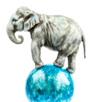 Elephant balancing on a blue globe in art png