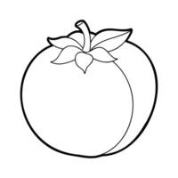 Black and white outline drawing of a persimmon vector