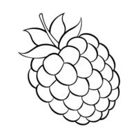 Black and white outline illustration of a raspberry with leaves vector