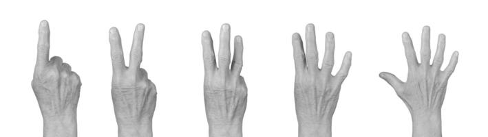 Elderly hand showing counting gestures from 1 to 5, dorsal view with visible knuckles and wrinkled photo