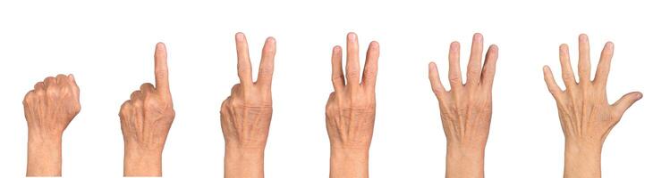 Old hand counting from zero to five, fist to open palm, wrinkled skin, gray tones, closeup of photo