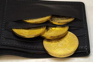 Wallet containing several shiny gold Bitcoin coins on display photo