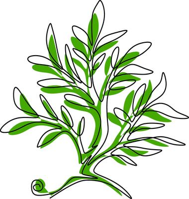 Illustration of a tree with a black outline and green splash.