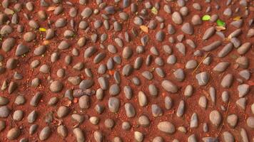 Textured Surface of Smooth Stones in Red Soil video