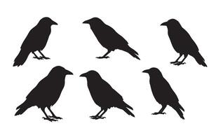 Stylish Sharp Crow Silhouette Set for Branding vector