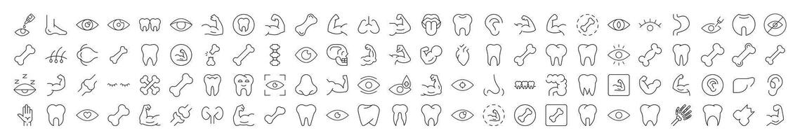 Eye, Tooth, Muscle, Internal Organs Pictures Drawn with Thin Line. Collection of Various Design Elements that Can Be Used for Apps, Articles, Web Sites, Social Media vector