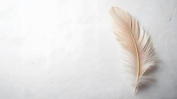 Single beige feather rests on pure white textured background in right-aligned position. Soft natural lighting emphasizes delicate details in clean minimalist composition. spotless photo