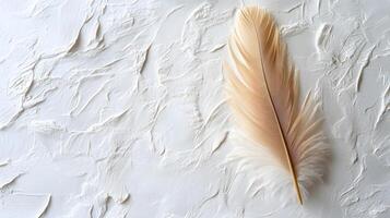 Single beige feather rests on pure white textured background in right-aligned position. Soft natural lighting emphasizes delicate details in clean minimalist composition. sleek photo