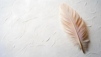 Single beige feather rests on pure white textured background in right-aligned position. Soft natural lighting emphasizes delicate details in clean minimalist composition. modern photo