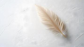 Single beige feather rests on pure white textured background in right-aligned position. Soft natural lighting emphasizes delicate details in clean minimalist composition. polished photo