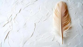 Single beige feather rests on pure white textured background in right-aligned position. Soft natural lighting emphasizes delicate details in clean minimalist composition. stylish photo