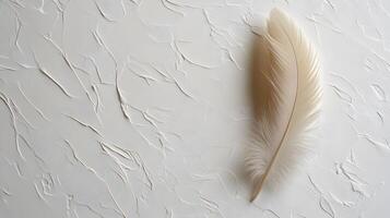 Single beige feather rests on pure white textured background in right-aligned position. Soft natural lighting emphasizes delicate details in clean minimalist composition. chic photo