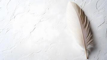 Single beige feather rests on pure white textured background in right-aligned position. Soft natural lighting emphasizes delicate details in clean minimalist composition. minimal photo