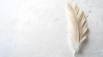 Single beige feather rests on pure white textured background in right-aligned position. Soft natural lighting emphasizes delicate details in clean minimalist composition. refined photo