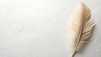 Single beige feather rests on pure white textured background in right-aligned position. Soft natural lighting emphasizes delicate details in clean minimalist composition. feather photo